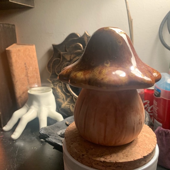 Other - 3 diff color mushroom LISA